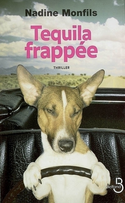 Couverture ebook de Tequila frappée, de Nadine Monfils