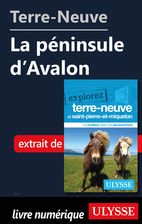 ebook cover of Terre-Neuve : La péninsule d'Avalon, by Frederique Sauvee