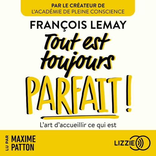 audiobook cover of Tout est toujours parfait !, by François Lemay