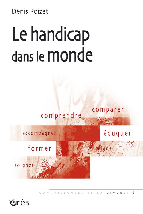ebook cover of Le handicap dans le monde, by Denis Poizat