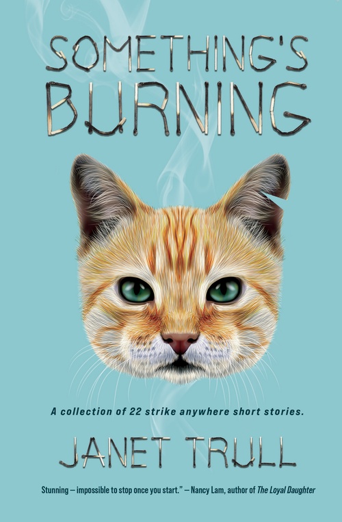 Couverture ebook de Something's Burning, de Janet Trull