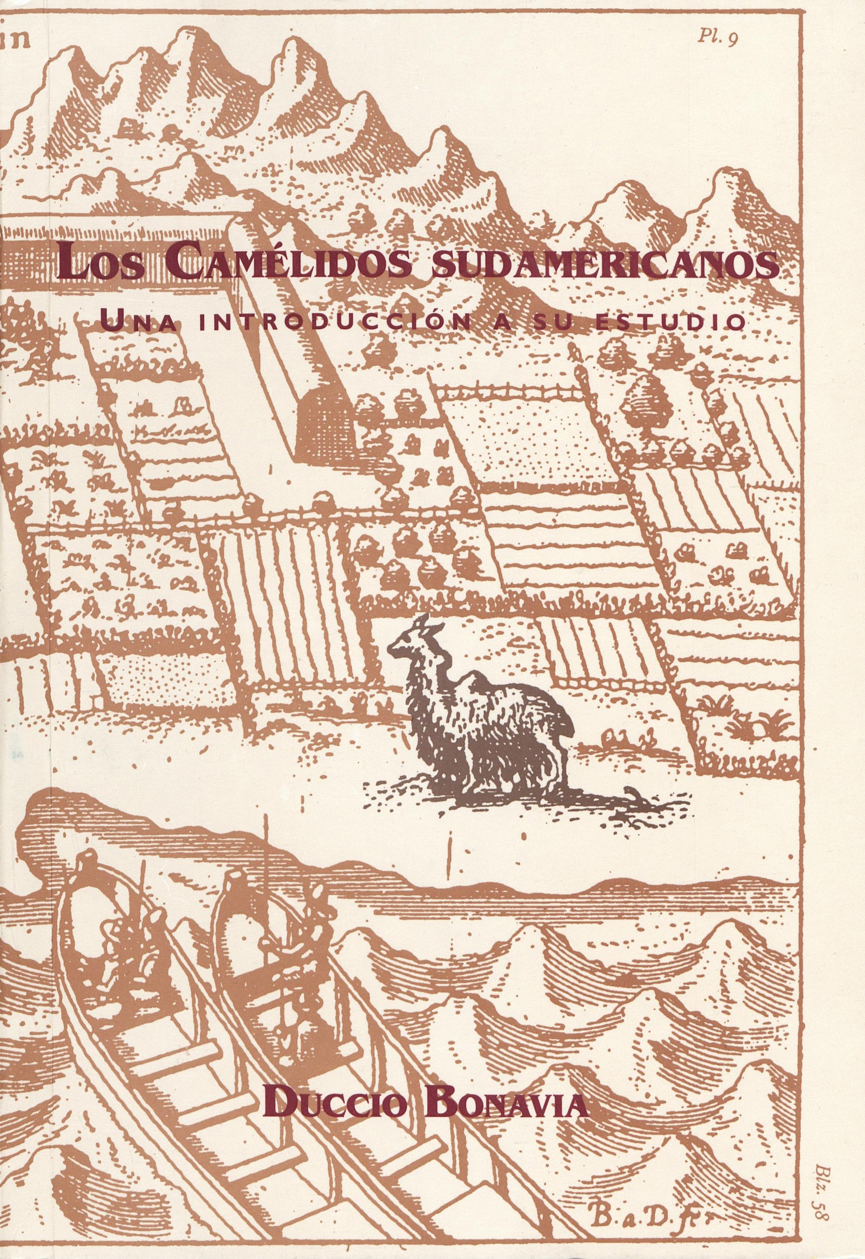ebook cover of Los camélidos sudamericanos, by Duccio Bonavia