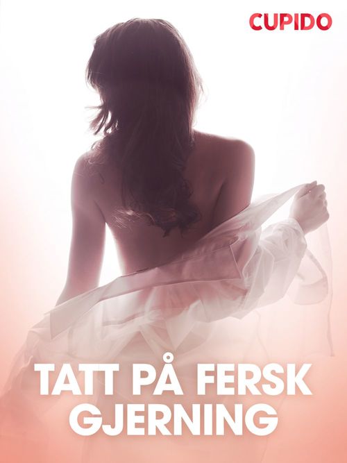 ebook cover of Tatt på fersk gjerning - erotiske noveller, by Cupido
