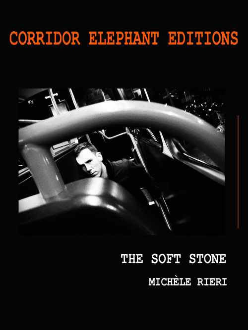 Couverture ebook de The soft stone, de Michele Rieri