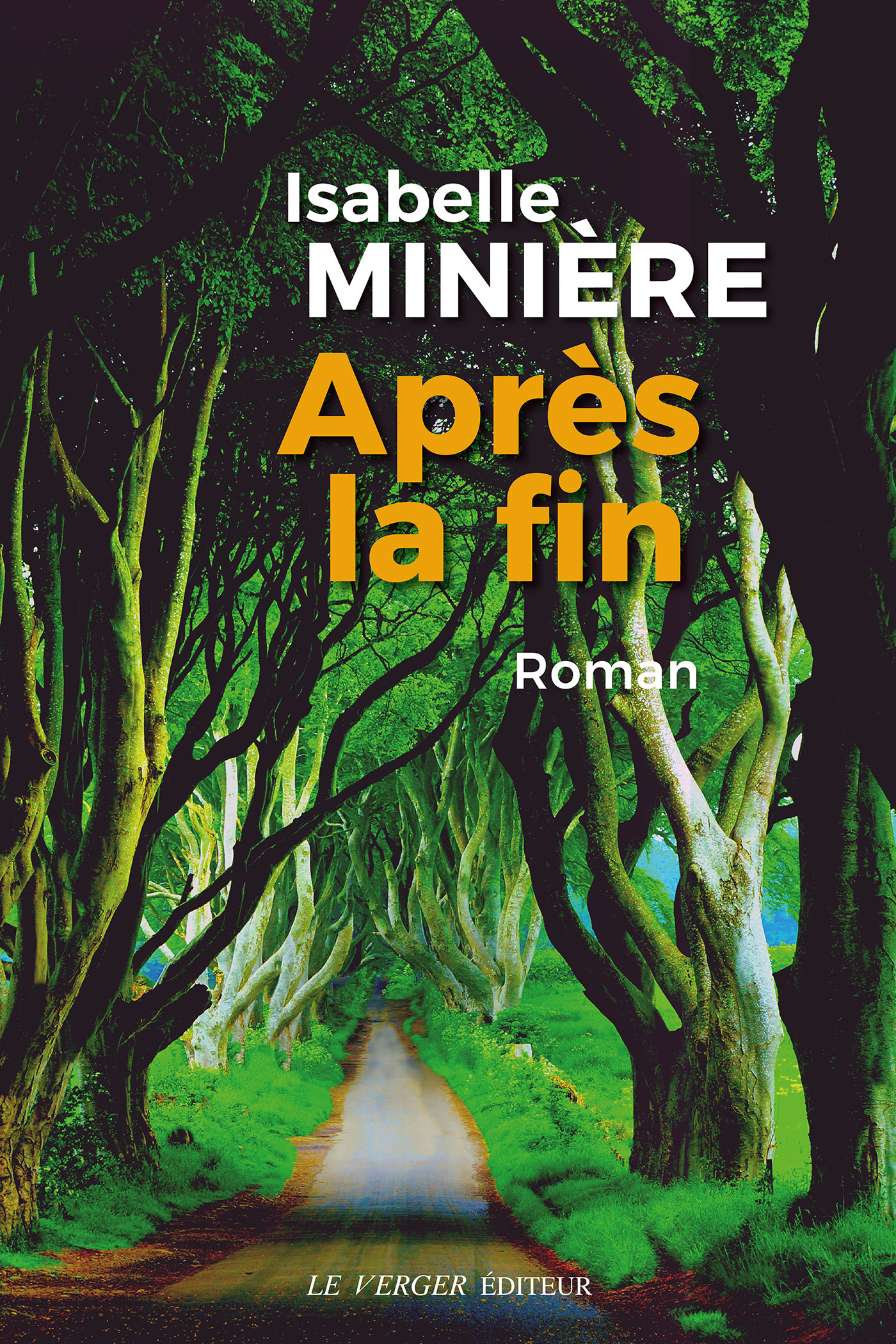 ebook cover of Après la fin, by Isabelle Minière