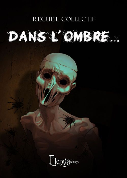 Couverture ebook de Dans L'Ombre, de Collectif