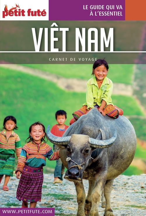 ebook cover of VIETNAM 2018 Carnet Petit Futé, by Collectif petit futé