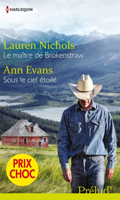 ebook cover of Le maître de Brokenstraw - Sous le ciel étoilé, by Ann Evans, Lauren Nichols