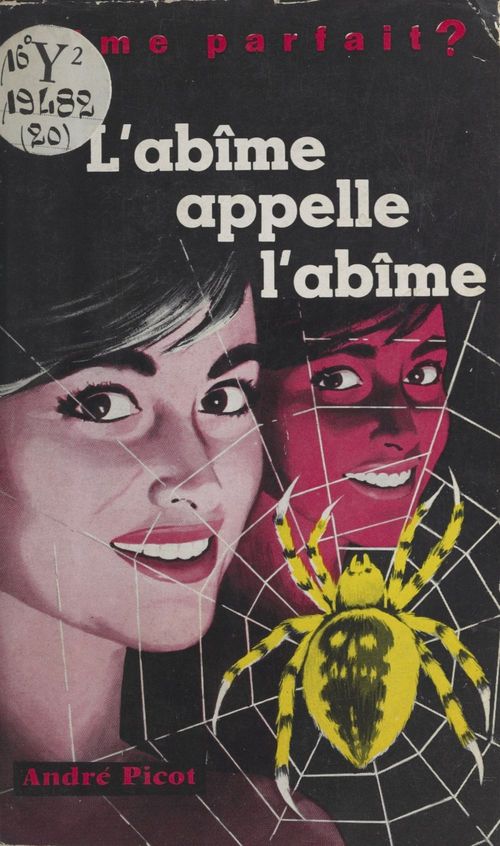 Couverture ebook de L'abîme appelle l'abîme, de Andre Picot