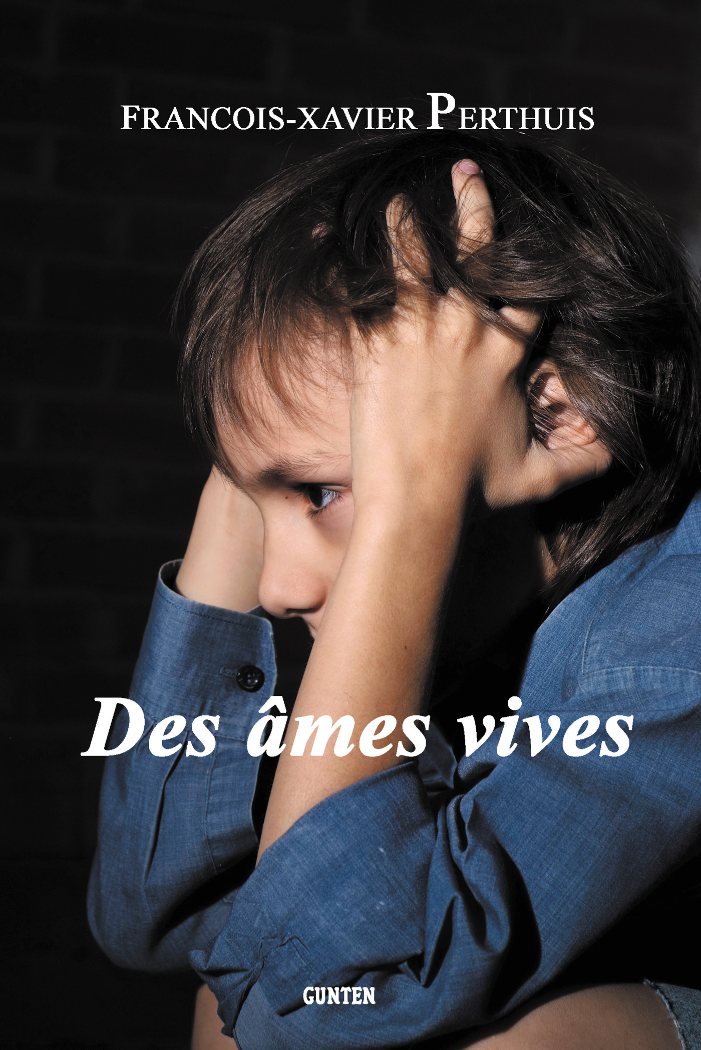 Couverture ebook de Des âmes vives, de François-Xavier Perthuis