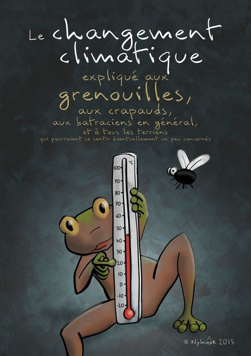 Couverture ebook de Le changement climatique expliqué aux grenouilles, de Nylnook