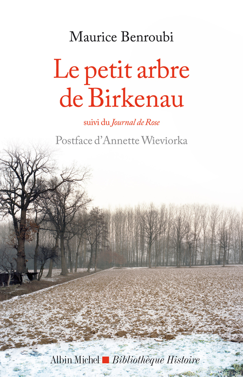 ebook cover of Le Petit Arbre de Birkenau, by Maurice Benroubi