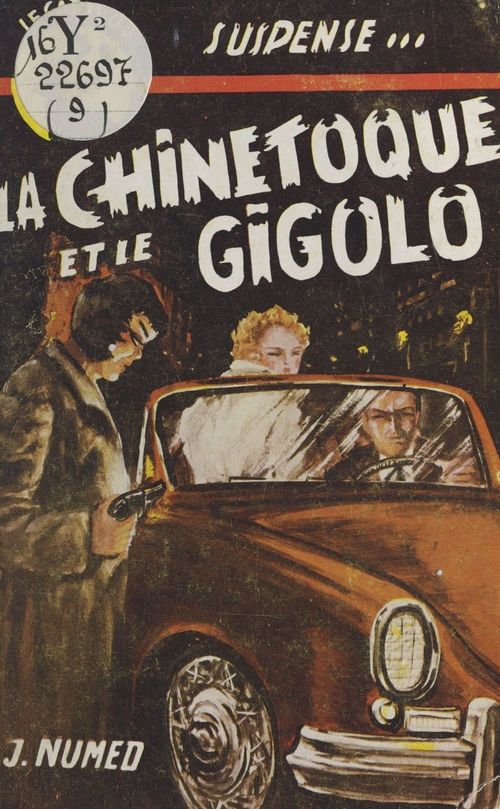 ebook cover of La chinetoque et le gigolo, by J. Numed
