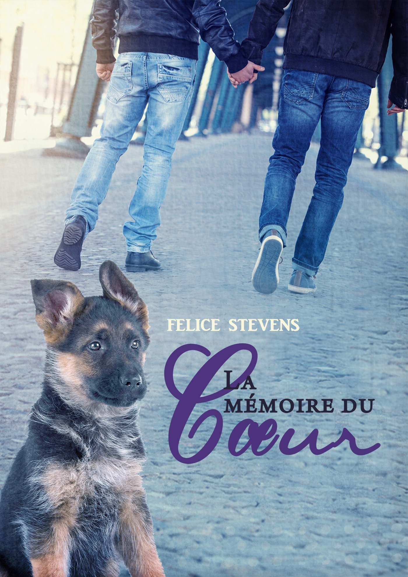 Couverture ebook de La mémoire du coeur, de Felicie Stevens