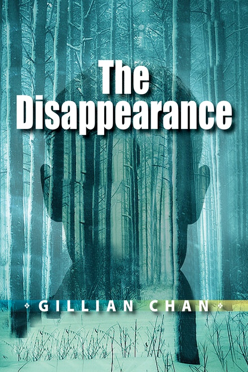 Couverture ebook de The Disappearance, de Gillian Chan