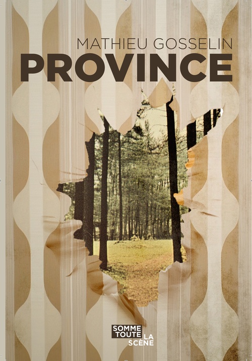 ebook cover of Province, by Mathieu Gosselin
