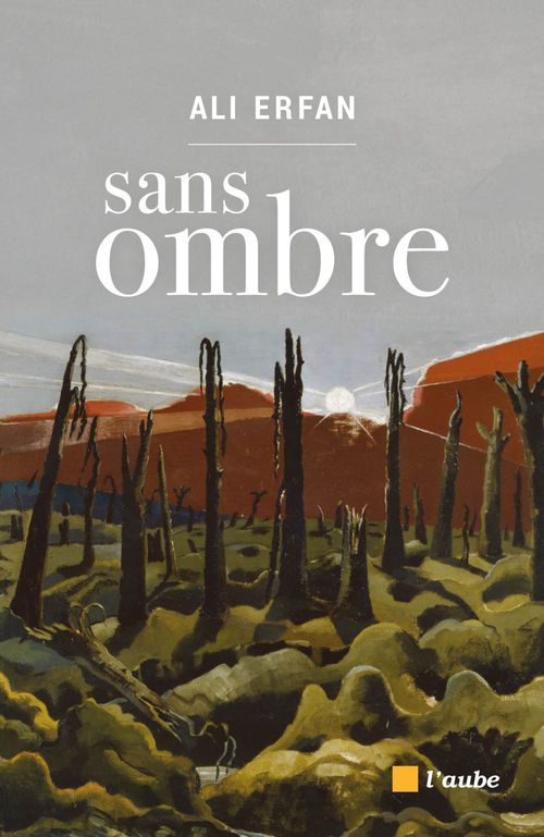 ebook cover of Sans ombre, by Ali Erfan