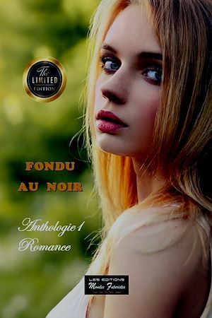 ebook cover of Fondu au noir, by Collectif