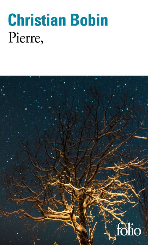 ebook cover of Pierre,, by Christian Bobin