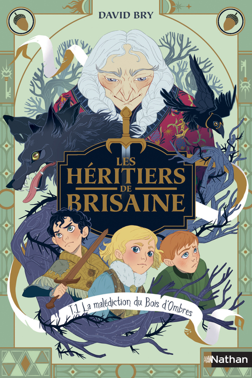 ebook cover of La malédiction du bois d'ombres - tome 1 Les héritiers de Brisaine, by David Bry