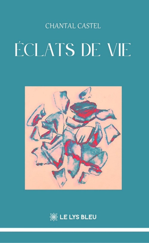 ebook cover of Éclats de vie, by Chantal Castel