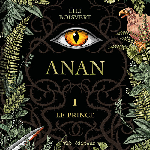 Couverture audiobook de Anan T.1, de Lili Boisvert