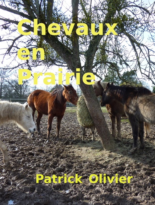 ebook cover of Chevaux en Prairie, by Patrick Olivier