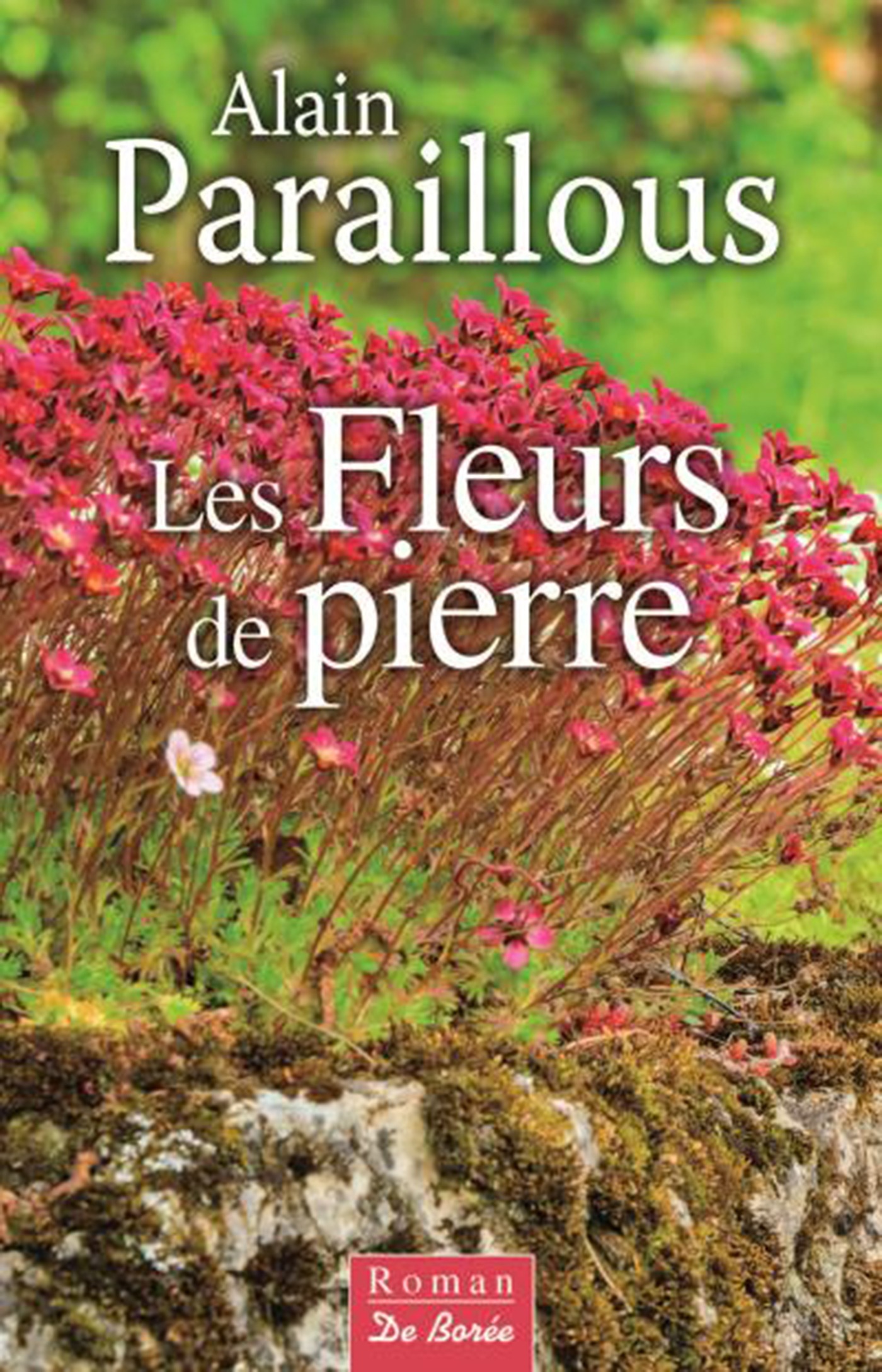 ebook cover of Les Fleurs de pierre, by Alain Paraillous