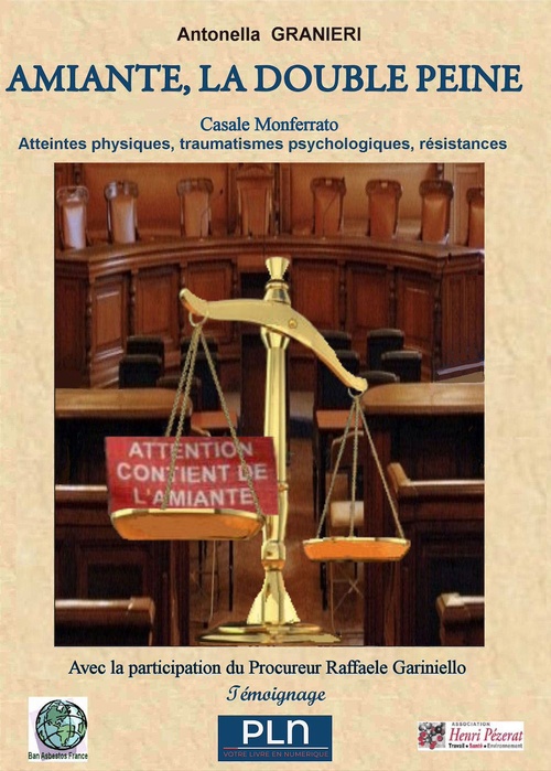 ebook cover of Amiante, la double peine, by Antonella Granieri