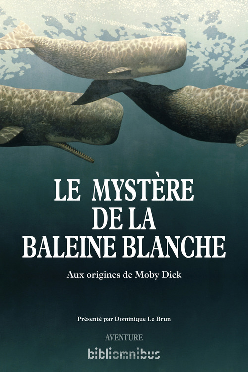 ebook cover of Le mystère de la baleine blanche, by Owen Chase, Thomas Nickerson, Herman Melville