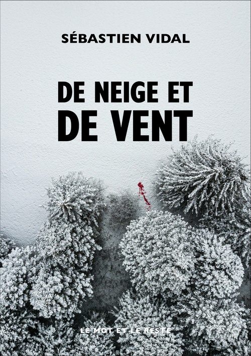 ebook cover of De neige et de vent, by Sébastien VIDAL