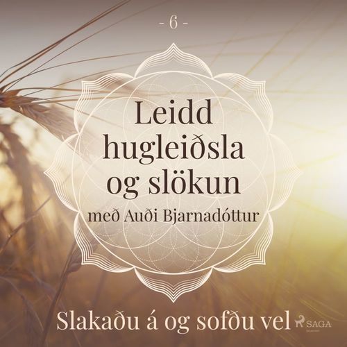 audiobook cover of Leidd hugleiðsla og slökun - Slakaðu á og sofðu vel, by Trine Holt Arnsberg