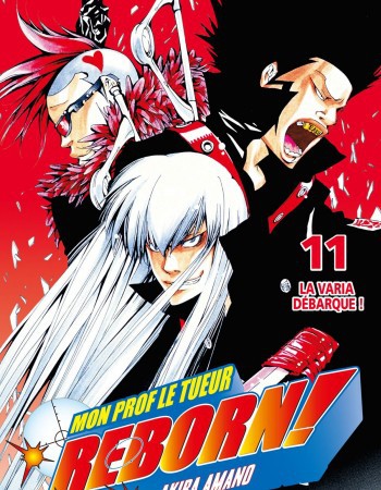 ebook cover of Reborn - Tome 11, by Akira Amano