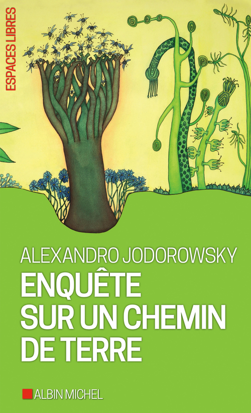 ebook cover of Enquête sur un chemin de terre, by Alexandro Jodorowsky