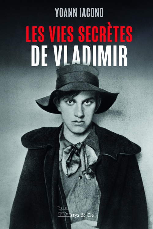 ebook cover of Les vies secrètes de Vladimir, by Yoann Iacono