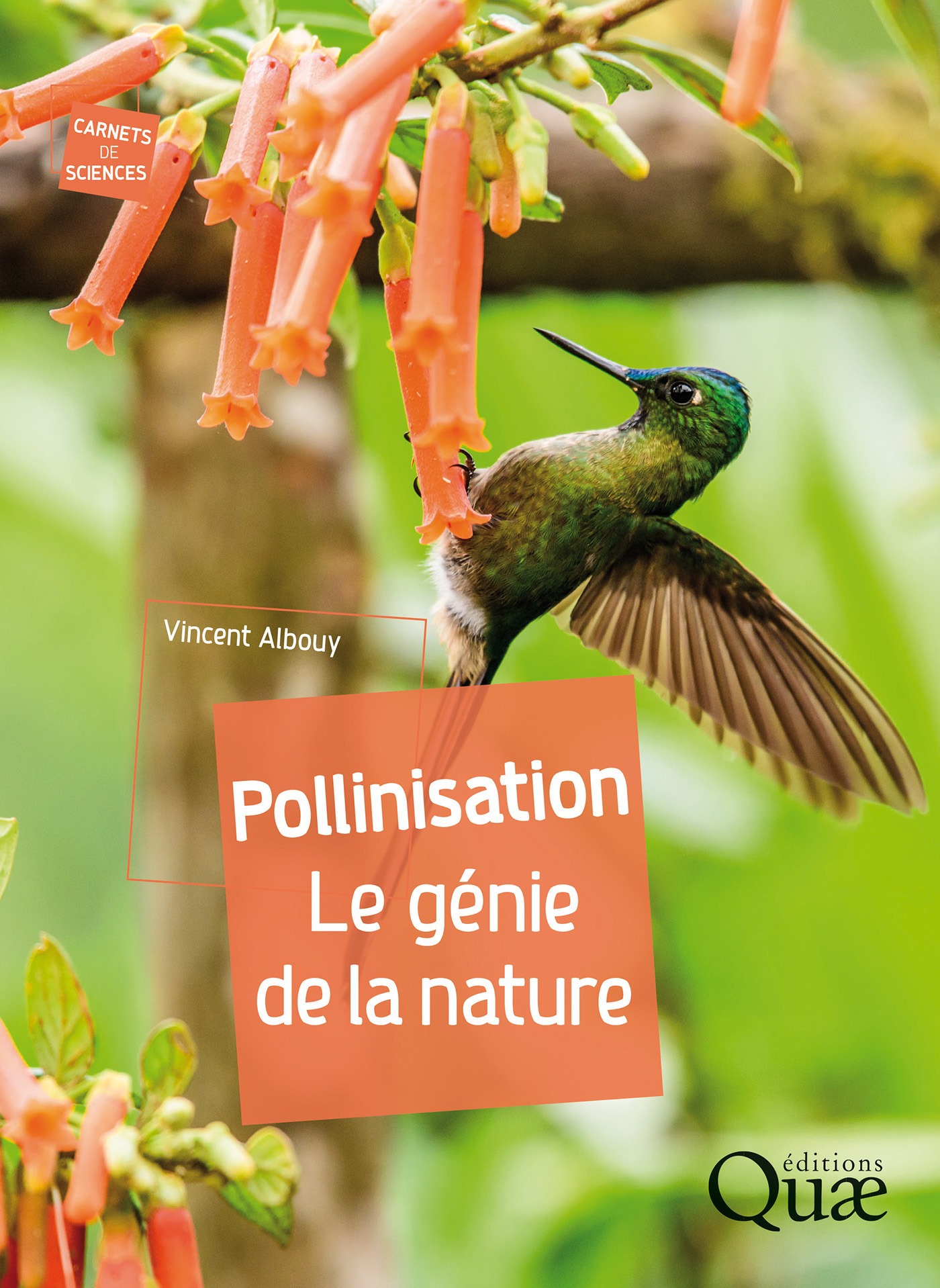 Couverture ebook de Pollinisation, de Vincent Albouy
