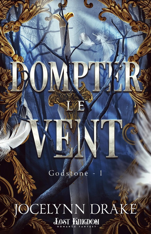 ebook cover of Dompter le vent, by Jocelynn Drake