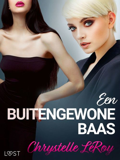 ebook cover of Een buitengewone baas - erotisch verhaal, by Chrystelle Leroy