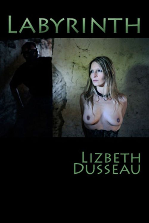 Couverture ebook de Labyrinth, An Erotic BDSM Novel, de Lizbeth Dusseau