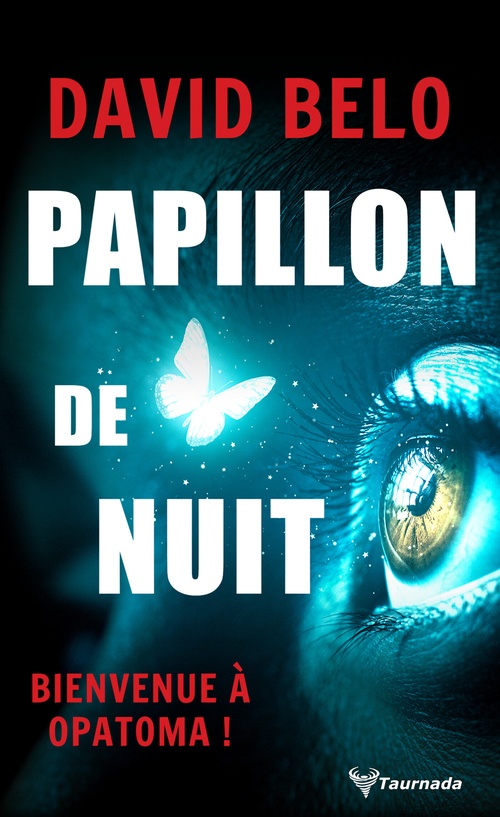 ebook cover of Papillon de nuit, by David Belo