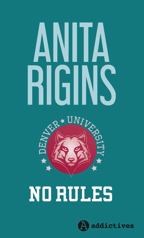 Couverture ebook de No Rules, de Anita Rigins