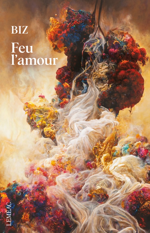 Couverture ebook de Feu l'amour, de Biz