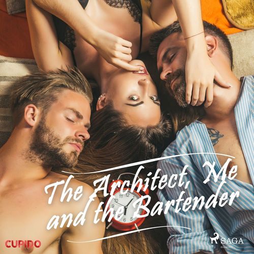 audiobook cover of The Architect, Me and the Bartender, by -  Cupido