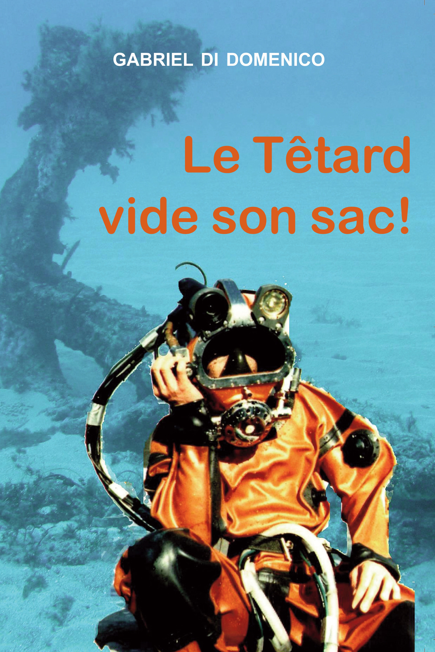 ebook cover of Le Têtard vide son sac, by Gabriel Di domenico