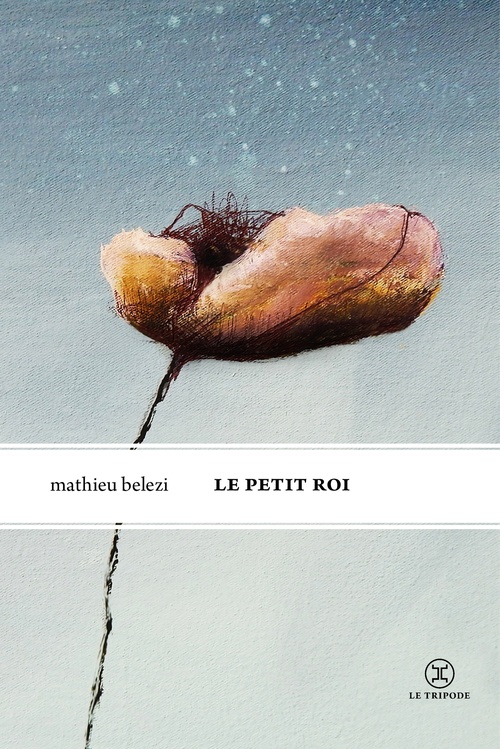 ebook cover of Le Petit Roi, by Mathieu Belezi