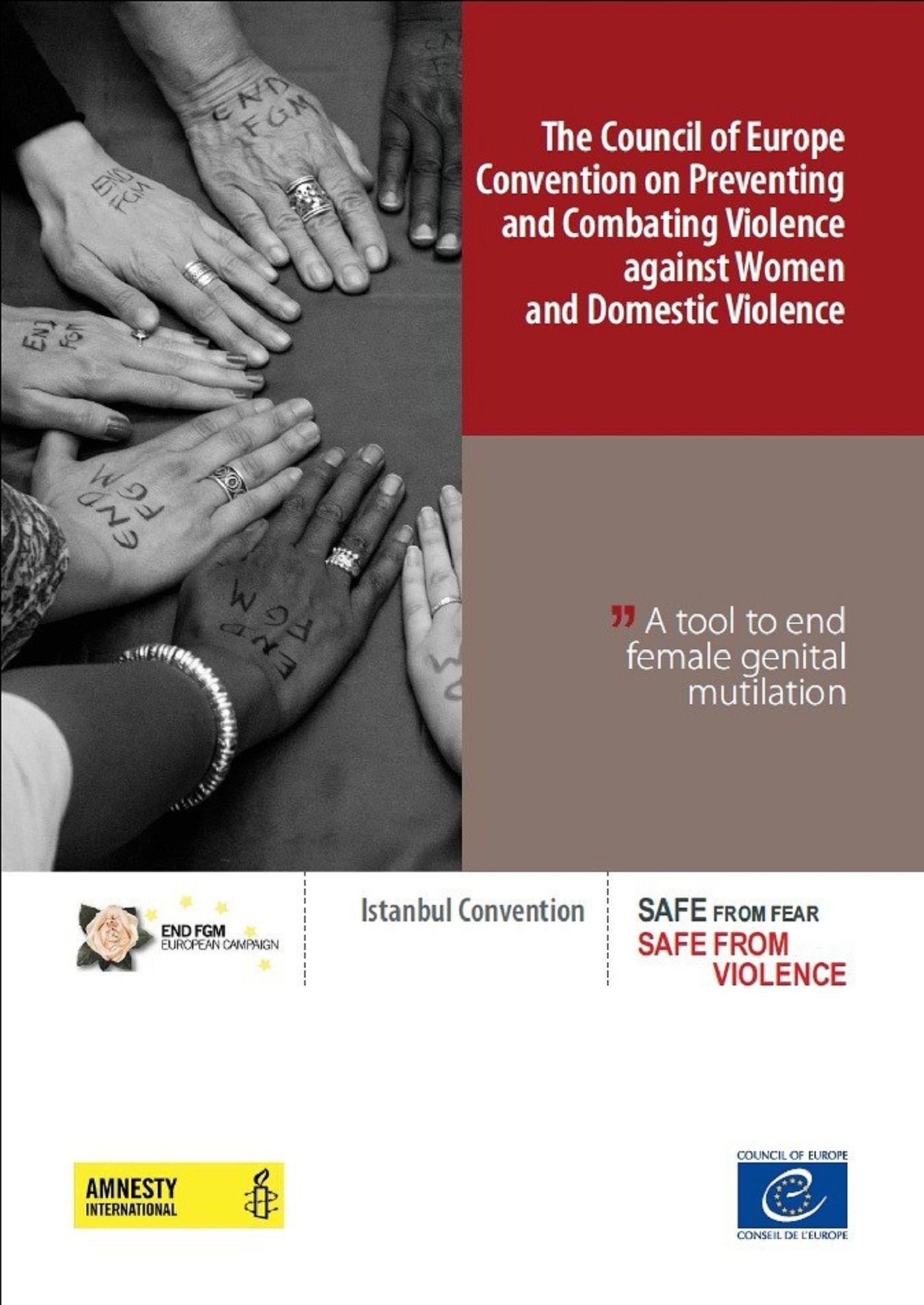 Couverture ebook de The Council of Europe Convention on Preventing and Combating Violence against Women and Domestic Violence - A tool to end female genital mutilation, de Collectif