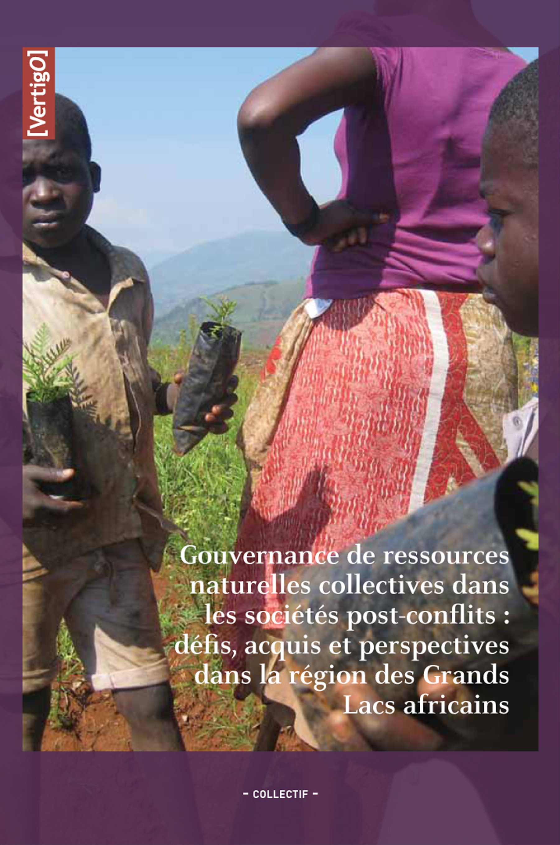 Couverture ebook de Vers une bonne gouvernance des ressources naturelles dans la région des Grands Lacs africains, de Collectif