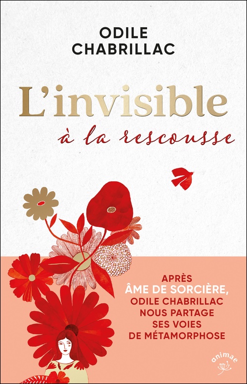 ebook cover of L´invisible à la rescousse, by Odile Chabrillac
