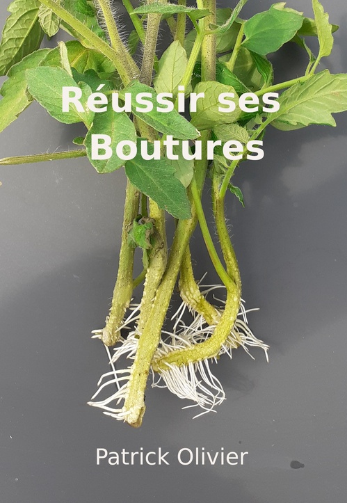 Couverture ebook de Réussir ses boutures, de Patrick Olivier