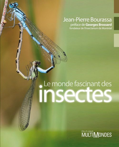ebook cover of Le monde fascinant des insectes, by Jean-pierre Bourassa